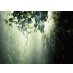 Living in The rain